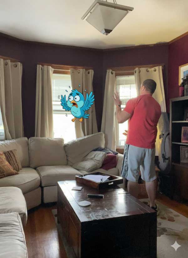 Tool Tuesday: Make a Photo into a Story!